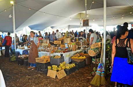 Oranjezicht City Farm and Market Day