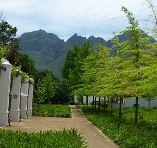 Lourensford Wine Estate
