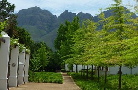Lourensford Wine Estate