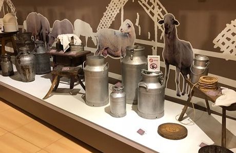 MQM Museo del Queso Manchego Toledo