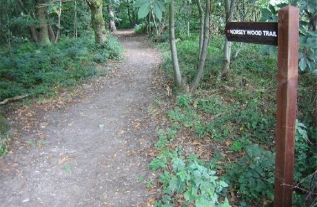 Norsey Wood Local Nature Reserve