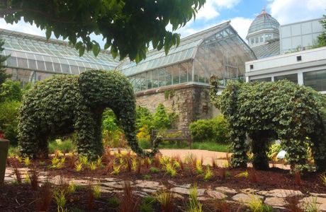 Franklin Park Conservatory and Botanical Gardens