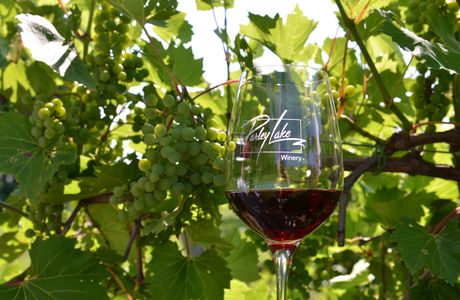 Parley Lake Winery