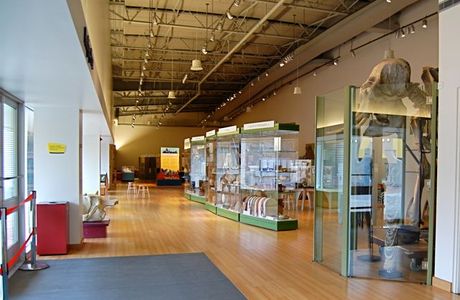 Brooklyn Children's Museum