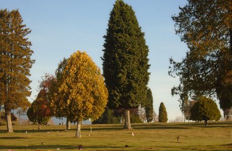 Forest Lawn Memorial Park