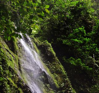 La Fortuna Waterfall