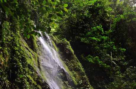 La Fortuna Waterfall