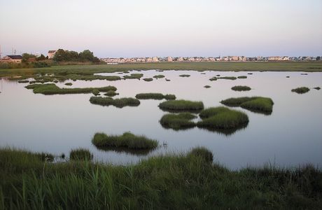 Fay Smith Wetlands