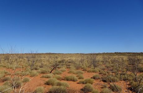 Kennedy Range National Park