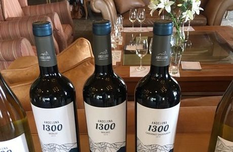 Andeluna Cellars