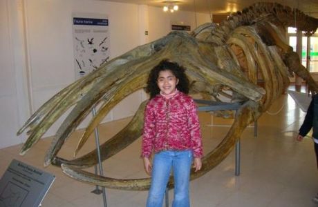 Centro Nacional Patagonico -- CeNPat