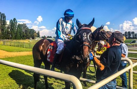 Bathurst Visitor Information Centre