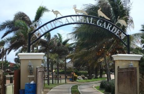 Philip's Animal Garden