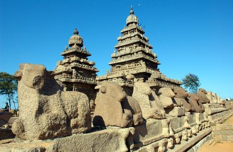 Srinithi Art Gallery