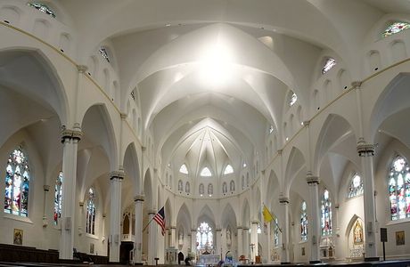 The Cathedral of the Immaculate Conception