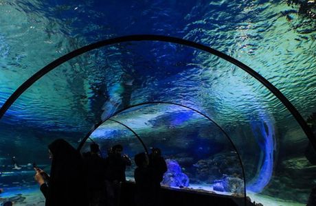 Isfahan Aquarium
