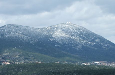 Mount Meron Nature Reserve