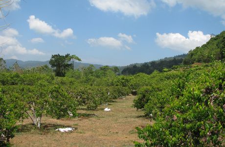 MARDI Langkawi Agro Technology Park