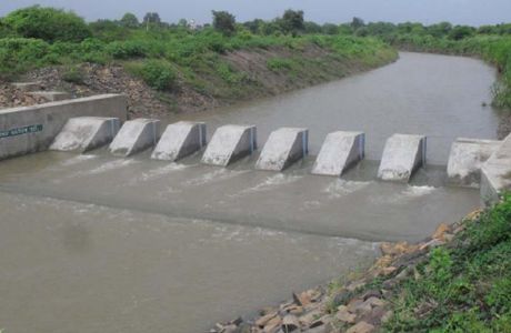 Nai Gaj
