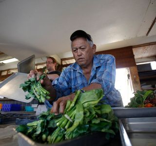 Tateshina Joba Farm