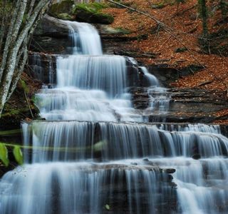 Parco Nazionale delle Foreste Casentinesi, Monte Falterona e Campigna