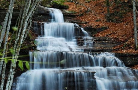 Parco Nazionale delle Foreste Casentinesi, Monte Falterona e Campigna