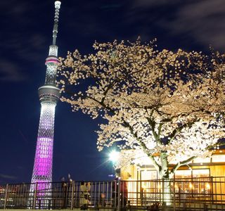 Kitsuregawa Sky Tower