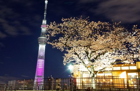 Kitsuregawa Sky Tower