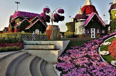 Dubai Miracle Garden