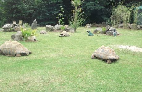 Paignton Zoo Environmental Park