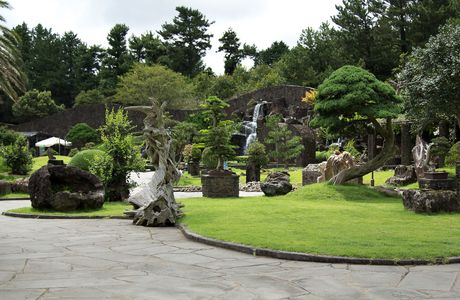 Spirited Garden