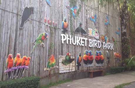 Phuket Bird Paradise
