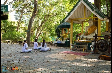 Monkchat Meditation Retreat