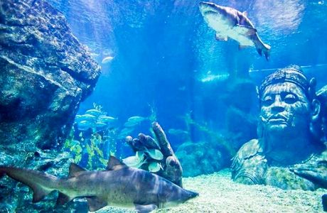 SEA LIFE Bangkok Ocean World
