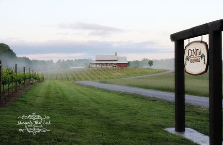 CeNita Vineyards and Winery