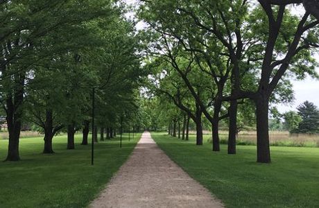 St. James Farm Forest Preserve