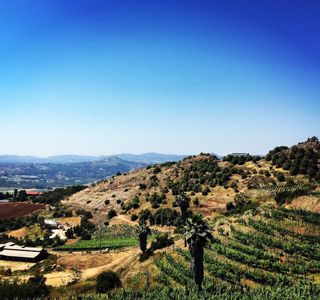 Tuscandido Winery