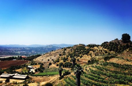 Tuscandido Winery