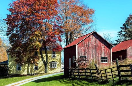 Matfield Maple Farm