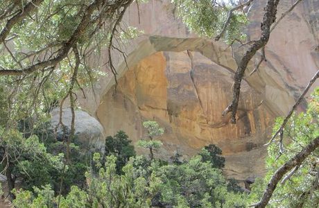 La Ventana Natural Arch