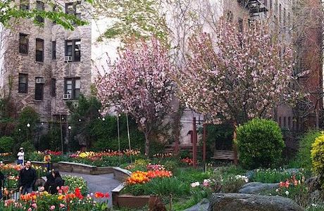 West Side Community Garden