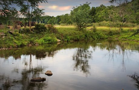 Shenandoah Valley