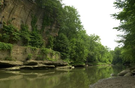 Collier (Howard) State Nature Preserve