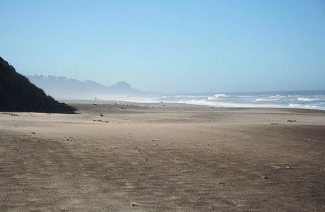 Gleneden Beach State Park