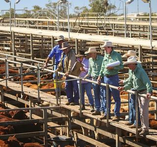 Roma War Memorial Heroes Avenue