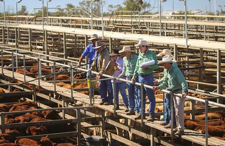 Roma War Memorial Heroes Avenue