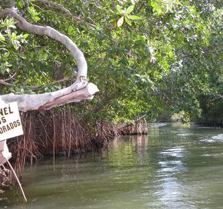 Laguna de la Restinga
