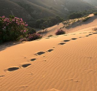 Sand Dunes