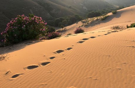 Sand Dunes