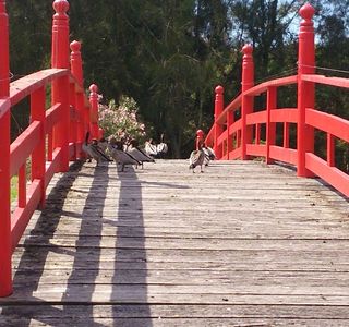 North Coast Regional Botanic Garden